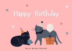 Birthday Cats Message Card